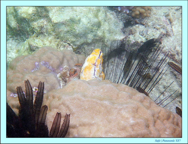 2011 - 08 - Bohey Dulang Island 44